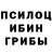 Псилоцибиновые грибы мухоморы Odam Inson