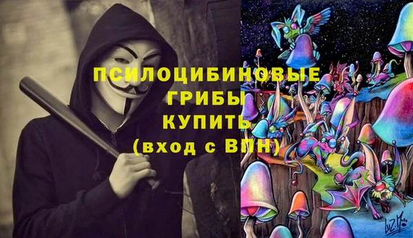 PSILOCYBIN Абаза