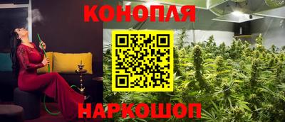 PSILOCYBIN Татарск