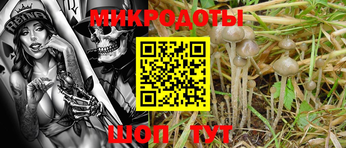 Псилоцибиновые грибы Psilocybine cubensis  Вход с VPN  Прокопьевск  Галлюциногенные грибы мицелий 