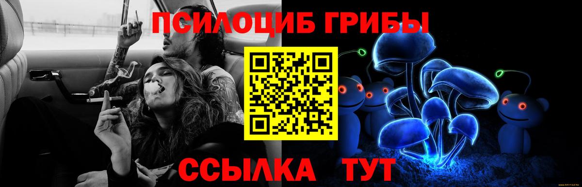 Галлюциногенные грибы GOLDEN TEACHER Прокопьевск